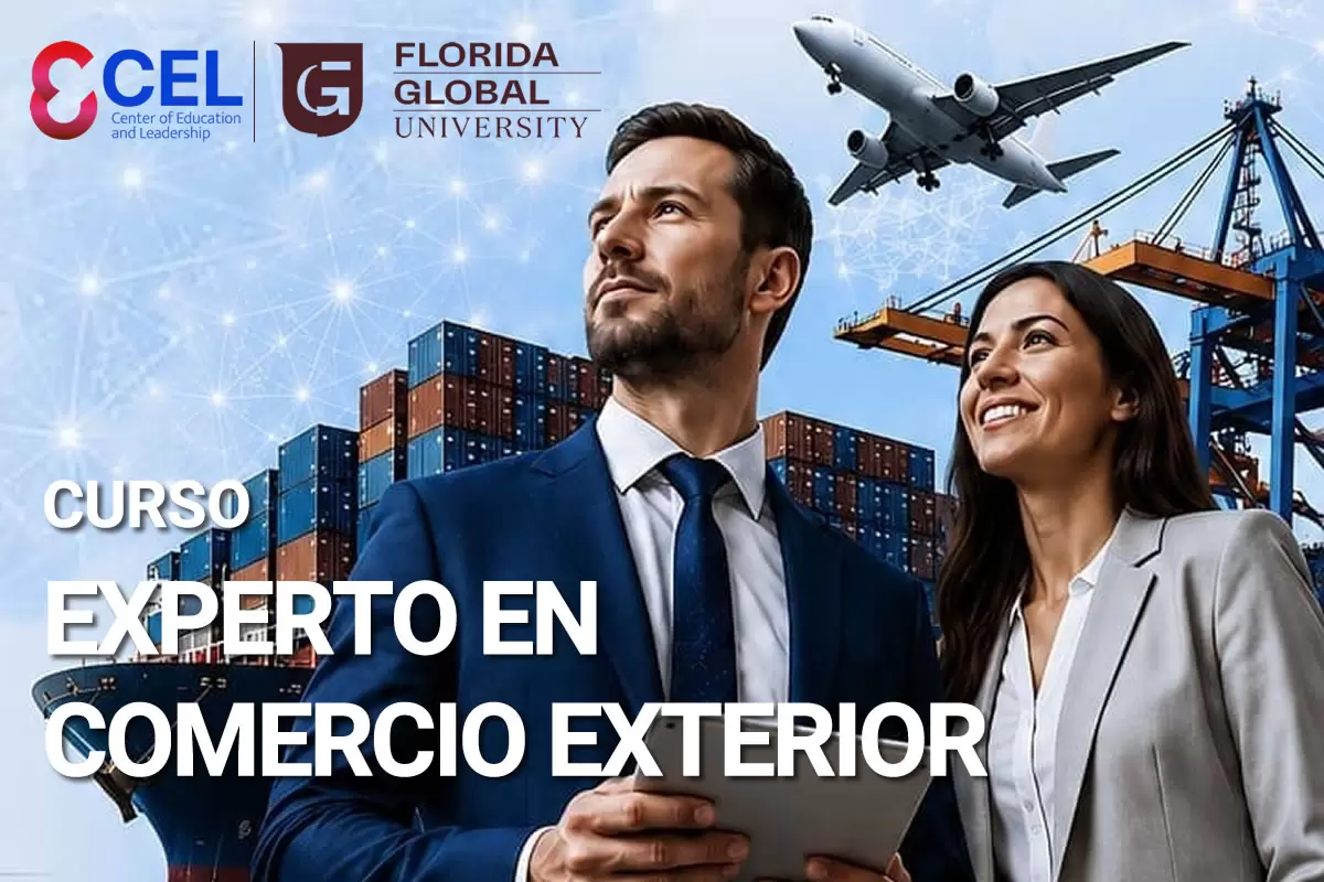 Experto en Comercio Exterior